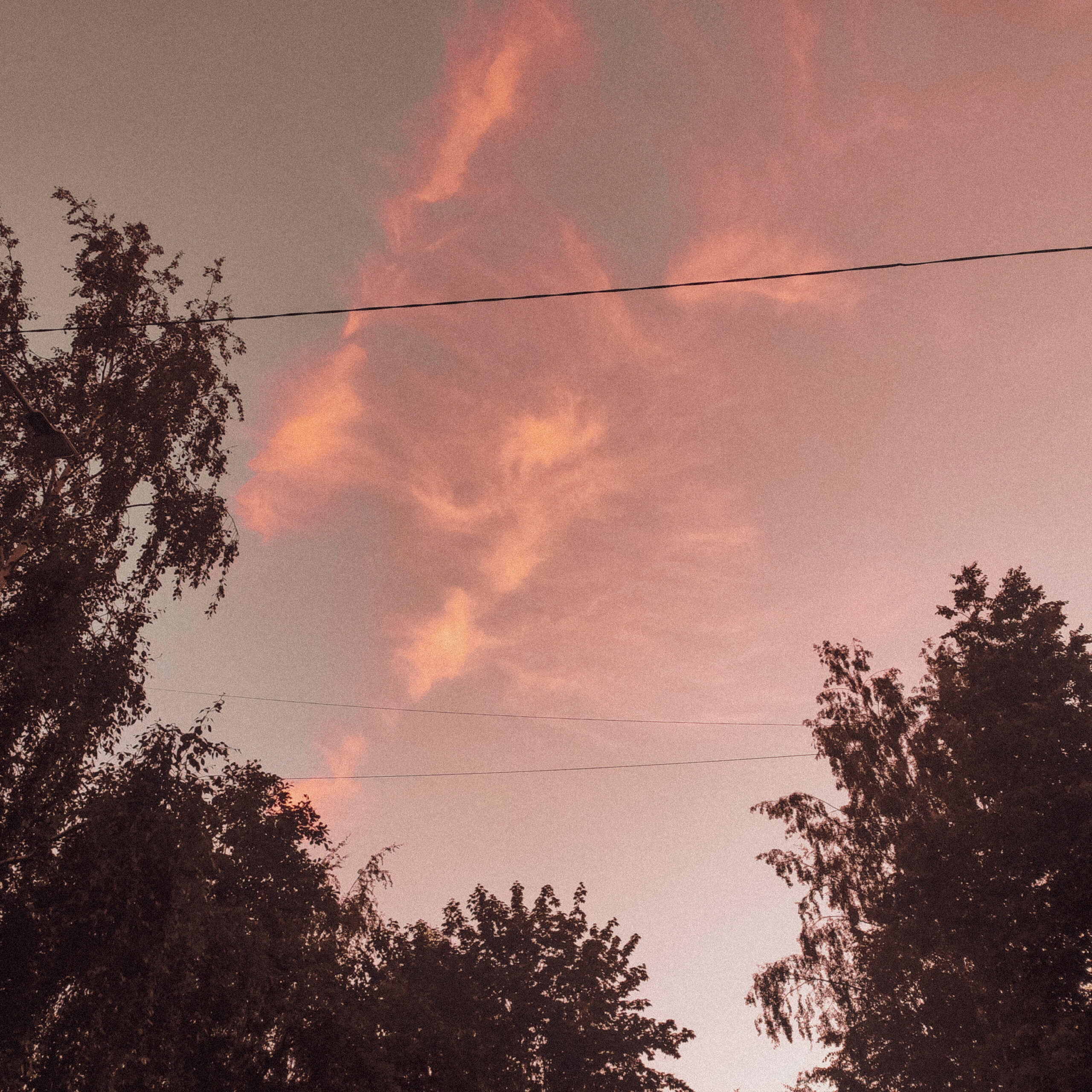 Лето пройдёт (… И ты тоже)